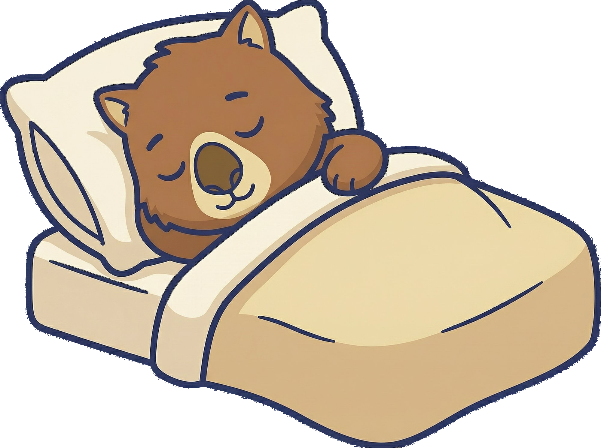 Baz the wombat tucked in